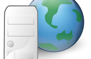 web-server-icon